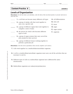 Levels of Organization - St. Joseph Hill Academy