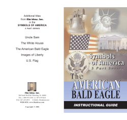 American Bald Eagle IG