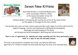 Seven New Kittens - Early Learning HQ