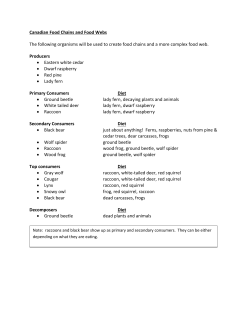 Canadian Food Chains and Food Webs The following organisms