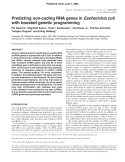 Predicting non-coding RNA genes in Escherichia coli with boosted