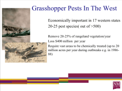 Grasshoppers in the West