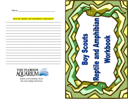 Name: How do reptiles and amphibians reproduce?