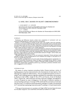 G AND/OR C-BANDS IN PLANT CHROMOSOMES?