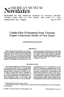 Norntates - AMNH Library Digital Repository