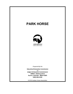 park horse - Arabian Horse Association