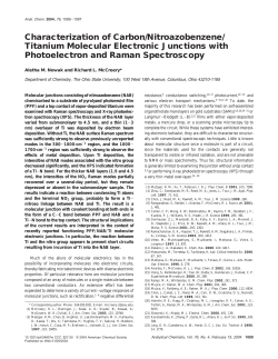 Characterization of Carbon/Nitroazobenzene