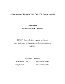 An Examination of the Spatial Term `Vehrev` in