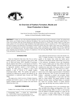 An Overview of Feathers Formation, Moults and Down