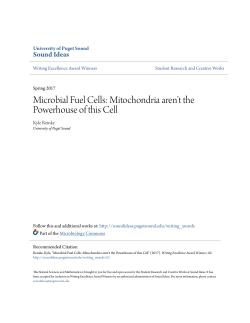 Microbial Fuel Cells: Mitochondria arenâ•Žt the Powerhouse of this