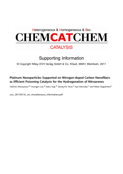 Supporting Information