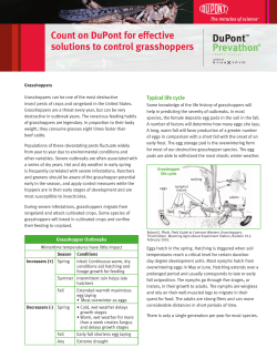 Count on DuPont for effective solutions to control grasshoppers