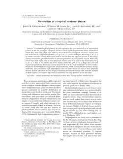 Metabolism of a tropical rainforest stream