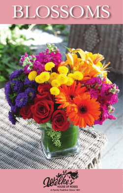 blossoms - Welke`s