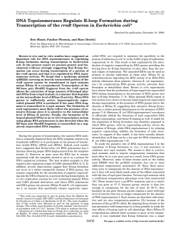 DNA Topoisomerases Regulate R