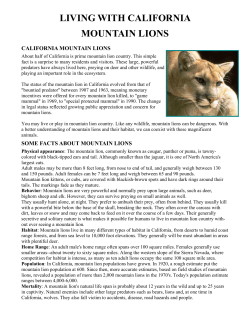 LIVING WITH CALIFORNIA MOUNTAIN LIONS