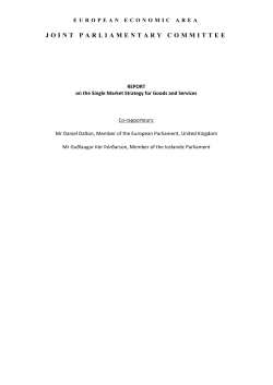 The Single Market Strategy for Goods and Services