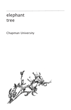 elephant tree - Chapman University