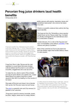 Peruvian frog juice drinkers laud health benefits