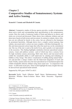 Sample pages 1 PDF