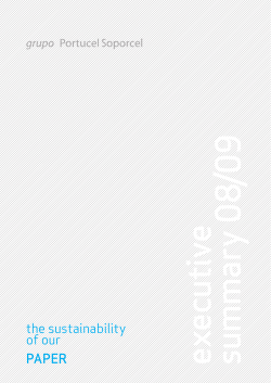 Sustainability Report - Executive Summary