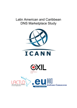 Latin American and Caribbean DNS Marketplace Study