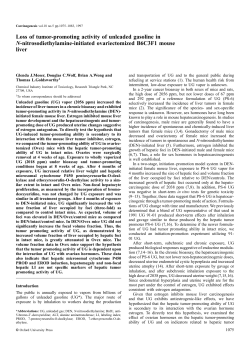 Loss of tumor-promoting activity of unleaded gasoline in N