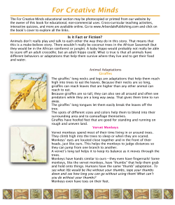 For Creative Minds - Arbordale Publishing