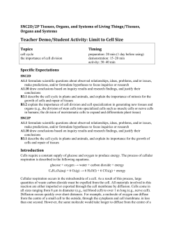 Teacher Demo/Student Activity: Limit to Cell Size