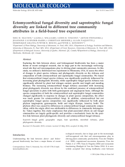 Ectomycorrhizal and saprotrophic fungal diversity are linked to