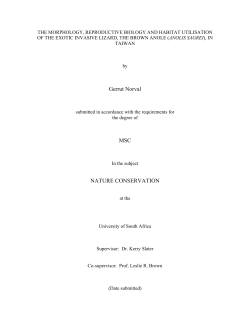 Icon - Unisa Institutional Repository