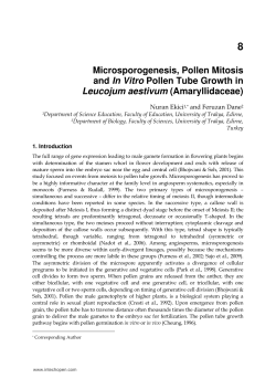 Microsporogenesis, Pollen Mitosis and In Vitro Pollen