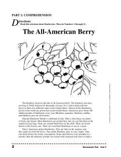 The All-American Berry