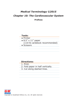 Chapter 10 Prefixes E-Flash Cards