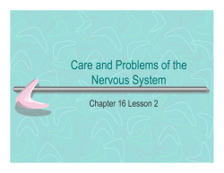 Care and Problems of the Nervous System