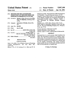 Process for the accelerated production of triploid seeds for seedless