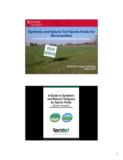 Synthetic and Natural Turf Sports Fields for Municipalities