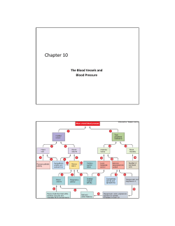 Chapter 10