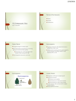 13.3 Mesozoic Era - Lemon Bay High School