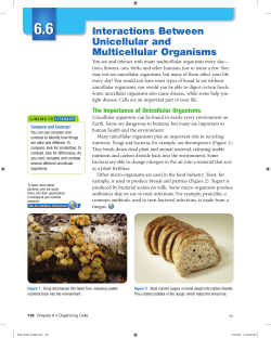 6.6 Interactions Between Unicellular and Multicellular Organisms