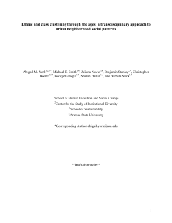 Ethnic and class clustering through the ages