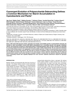 Convergent Evolution of Polysaccharide