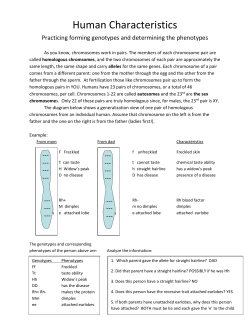 Human Characteristics