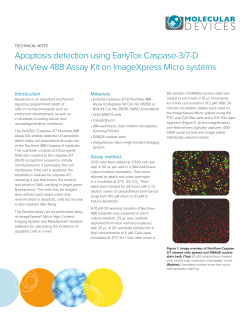 EarlyTox Caspase-3/7-D NucView 488 Assay Kit, Apoptosis