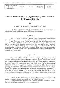 Characterization of Oak (Quercus L.) Seed Proteins by