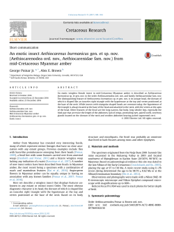 An exotic insect Aethiocarenus burmanicus gen. et sp. nov