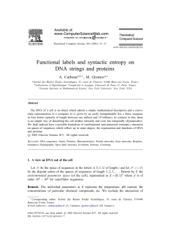Functional labels and syntactic entropy on DNA strings and proteins