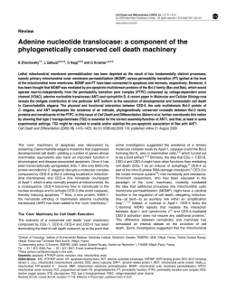 Adenine nucleotide translocase: a component of the