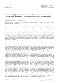 Contrast adaptation to time constraints on development of two pre