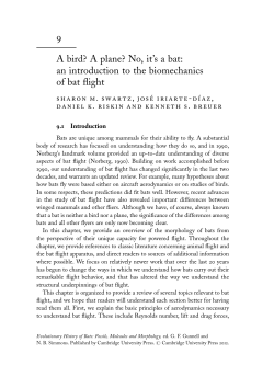 9 A bird? A plane? No, it`s a bat: an introduction to - Jose Iriarte-Diaz